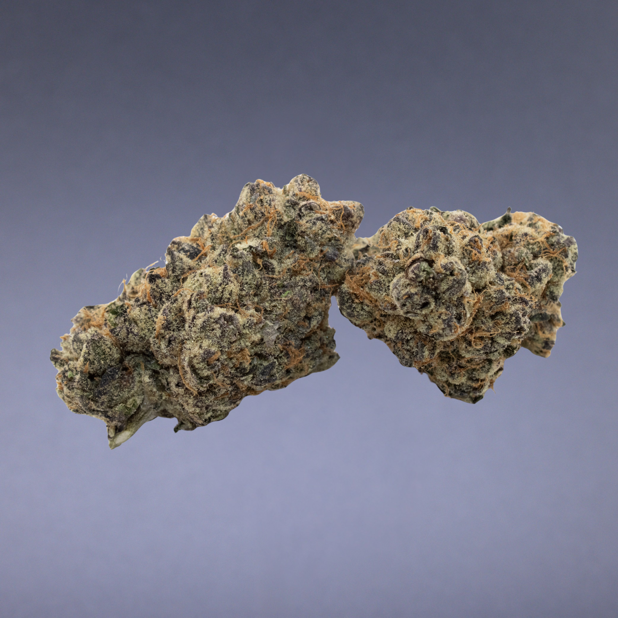 Ignite Cannabis
